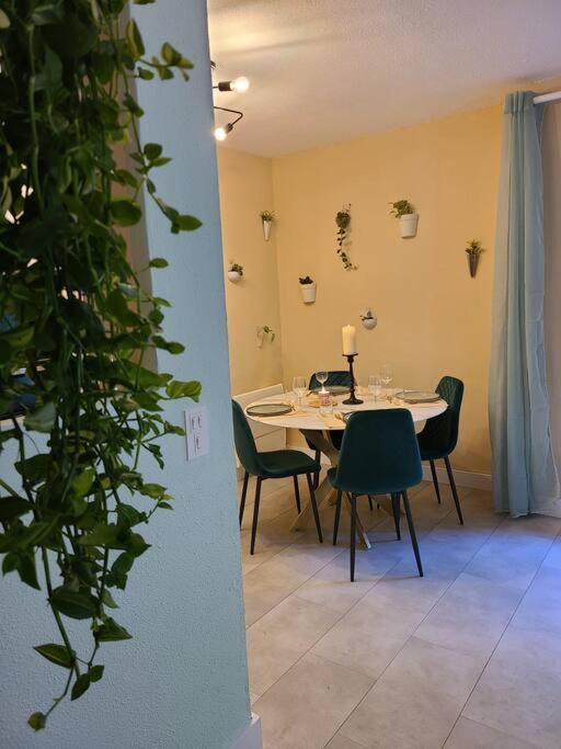 Joli Studio Renove Situe Au Pied Des Thermes Amélie-les-Bains-Palalda Eksteriør bilde